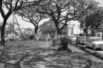 Paramaribo (12/75)