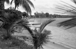 Albina, beach on the Marowijne river (the border with French Guiana) 1/76