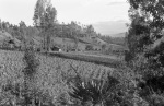 Scenery near Otavalo (1/76)