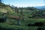 Scenery near Otavalo (1/76)