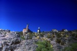 Llamas along the trail back to Iscoporgata