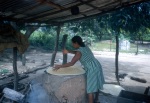 Frying yucca, Camurica