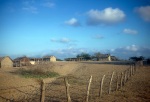 Morning in Los Mochos, La Guajira, with the Bahá’í Institute near the center