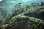 Mountain path above Port-au-Prince (6/82)