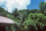 Alá’í house, American Samoa