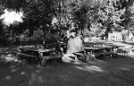 Dining tables under the Big Tree, dining hall in the back, Geyserville Bahá’í School, 11/72