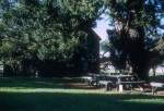Dining tables under the Big Tree, library in the back, Geyserville Bahá’í School, 11/72