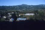 View from above the Geyserville Bahá’í School looking over the Russian River valley, 11/72