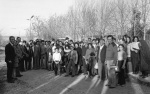 Youth meeting in Shíráz