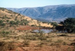 Scenery near the small towns of Hlatikulu and Nhlangano