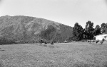 The National Bahá’í Center and grounds, Malagwane Hill, Mbabane