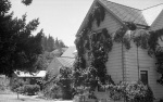 Geyserville, July 13, 1947