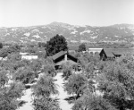Geyserville School and surrounding country 7/13/1951