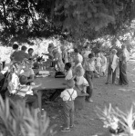 Geyserville community Feast under Big Tree 7/13/1951