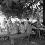 Geyserville community Feast under Big Tree 7/13/1951