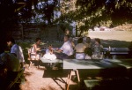 Dinner under the Big Tree, Geyserville, 7/57