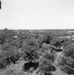 Mazra'ih, view from window, 5/60