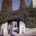 John Ferraby by ‘Abdu’l-Bahá’s house, Haifa, 5/60