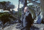 Mark Tobey at Point Lobos, 10/63