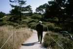 Mark Tobey at Point Lobos, 10/63
