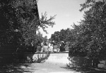 Geyserville, July 1940