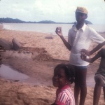 St. Martin or Fr. Guiana?, 1976