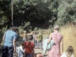 Geyserville, Aug. 1971