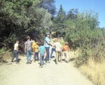 Geyserville, Aug. 1971