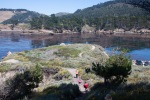 Point Lobos State Reserve, California, July