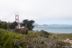 Golden Gate Bridge viewed from the Presidio park, July