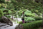 The Japanese Tea Garden, San Francisco, July