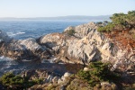 Point Lobos State Reserve, August