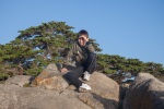 Point Lobos State Reserve, August