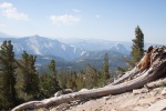 May Lake, enroute to Mount Hoffman, Yosemite, August