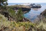 Above China Cove, Point Lobos State Reserve, July