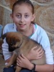 Our new dog, Liska, in Krupnik after Blackie passed away, September