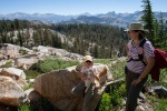 Climbing Mt. Hoffman above May Lake in the high country of Yosemite, July
