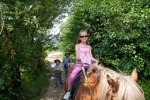 A trip to the mountains near Blagoevgrad for horseback riding, August
