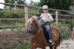 A trip to the mountains near Blagoevgrad for horseback riding, August