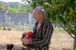 Emi’s parents harvesting tomatoes from the garden in Krupnik, August
