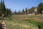 A visit to the high country of Yosemite National Park, California, July