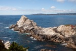 At the Point Lobos State Reserve near Carmel, California, July