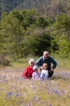 At Garland Ranch Park in Carmel Valley, April