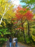 Enjoying the fall foliage from a rented cabin in Western Massachusetts, October