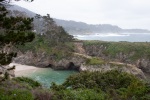Point Lobos state park, late March
