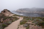 Point Lobos state park, April
