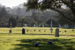 The graveyard in Monterey where Greg's mother Joyce is burried, January