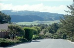 The road up to Grandma Joyce's house, looking toward Carmel Valley, California, February
