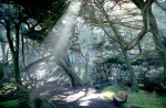 At Point Lobos State Reserve near Grandma Joyce's house in Carmel, California, February