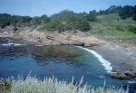 In the Point Lobos state park near  Grandma Joyce's house, Carmel, July